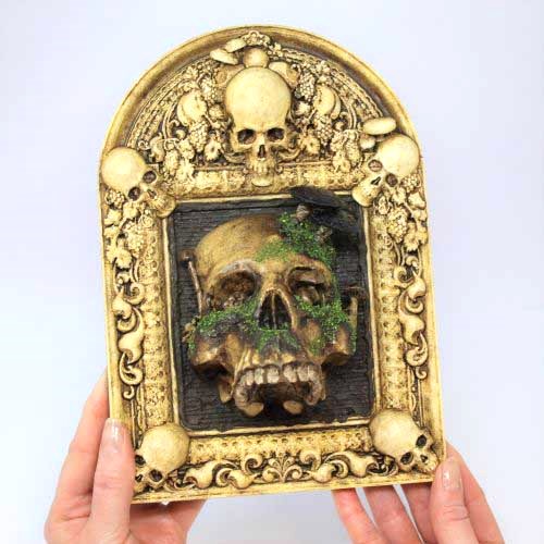 Decay. Gothic Skull-Framed 3d Wall-hanging model