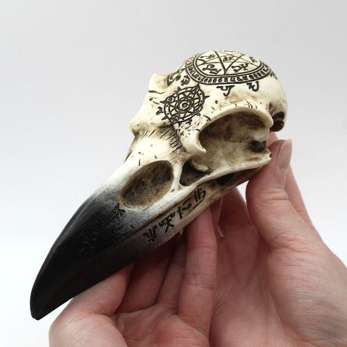Raven Skull with carved magig symbols and runes