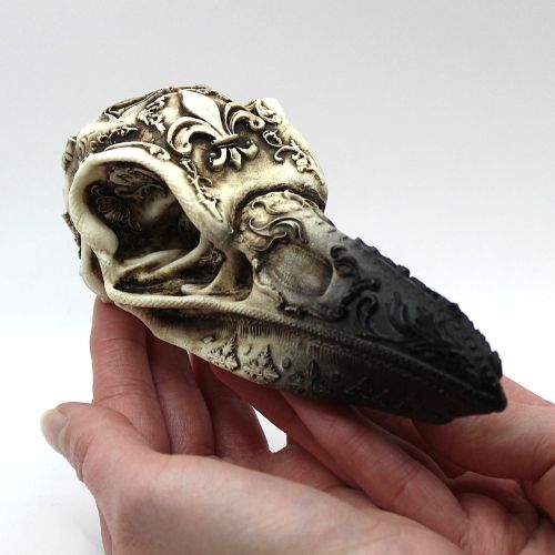 Raven Skull with carved magig symbols and runes